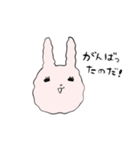 頑張っているうさぎのスタンプ（個別スタンプ：21）