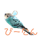てこと愉快な仲間たち（個別スタンプ：6）