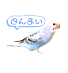 てこと愉快な仲間たち（個別スタンプ：7）