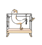 ピラティス猫の伸びる日常（個別スタンプ：2）