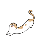 ピラティス猫の伸びる日常（個別スタンプ：7）