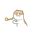 ピラティス猫の伸びる日常（個別スタンプ：8）
