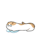 ピラティス猫の伸びる日常（個別スタンプ：11）