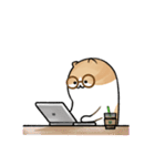 ピラティス猫の伸びる日常（個別スタンプ：19）