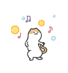 ピラティス猫の伸びる日常（個別スタンプ：20）