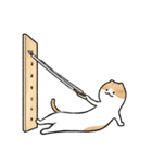ピラティス猫の伸びる日常（個別スタンプ：21）