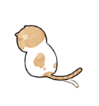 ピラティス猫の伸びる日常（個別スタンプ：24）