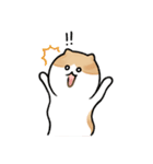 ピラティス猫の伸びる日常（個別スタンプ：31）