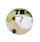 くまさんスタンプ！！2（個別スタンプ：3）