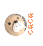 くまさんスタンプ！！2（個別スタンプ：8）