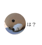 くまさんスタンプ！！2（個別スタンプ：14）