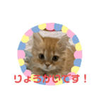 みかんさんのスタンプ（個別スタンプ：2）