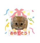 みかんさんのスタンプ（個別スタンプ：4）
