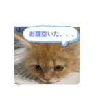 みかんさんのスタンプ（個別スタンプ：5）