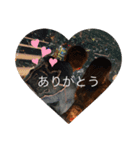 うちらの日常‪‪❤︎‬（個別スタンプ：6）