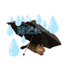 カルスタンプ④（個別スタンプ：4）