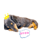 我が家のLEOちゃん'ᴥ'（個別スタンプ：1）