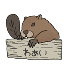 ビーバーと日々を過ごしたい（ゆるめ）（個別スタンプ：16）