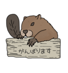 ビーバーと日々を過ごしたい（ゆるめ）（個別スタンプ：38）