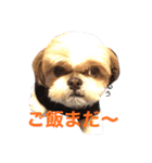 とむちゅけ♡♡（個別スタンプ：3）