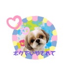 とむちゅけ♡♡（個別スタンプ：8）