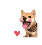 かわいすぎるとろろ2（個別スタンプ：6）