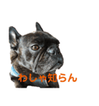 クモケン グラフィティー（個別スタンプ：6）