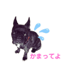 クモケン グラフィティー（個別スタンプ：7）