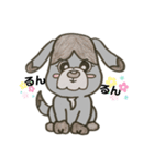 色鉛筆わんこ（個別スタンプ：1）