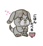 色鉛筆わんこ（個別スタンプ：5）