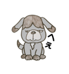 色鉛筆わんこ（個別スタンプ：9）