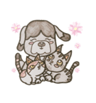 色鉛筆わんこ（個別スタンプ：16）