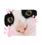アトムとコタロー（個別スタンプ：1）