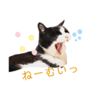 アトムとコタロー（個別スタンプ：2）