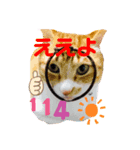 アトムとコタロー（個別スタンプ：5）