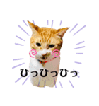 アトムとコタロー（個別スタンプ：8）