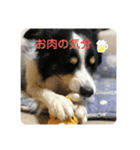 チャンの一言。〜お仕事編part2〜（個別スタンプ：1）