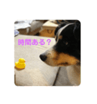 チャンの一言。〜お仕事編part2〜（個別スタンプ：2）