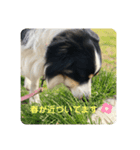 チャンの一言。〜お仕事編part2〜（個別スタンプ：3）