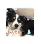チャンの一言。〜お仕事編part2〜（個別スタンプ：5）