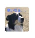 チャンの一言。〜お仕事編part2〜（個別スタンプ：7）