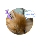みかんのスタンプ2（個別スタンプ：4）