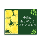 大人可愛いたんぽぽのスタンプ（個別スタンプ：13）