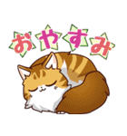 羽多野渉公式LINEスタンプ（個別スタンプ：27）