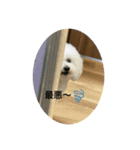 ちびりあのスタンプ（個別スタンプ：8）