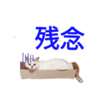 こはる☆さくら（個別スタンプ：6）