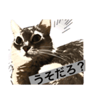 我輩はぴのである゜（個別スタンプ：3）