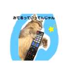 我輩はぴのである゜（個別スタンプ：4）