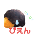 ももちゃん(犬)スタンプ（個別スタンプ：1）