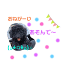ももちゃん(犬)スタンプ（個別スタンプ：2）